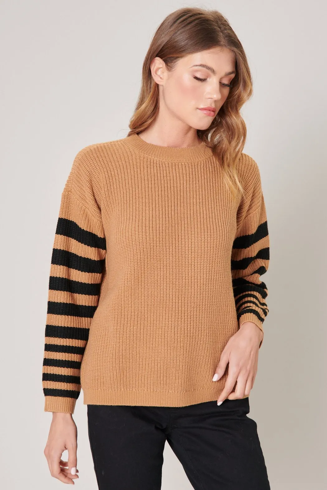 Allspice Stripe Sleeve Sweater